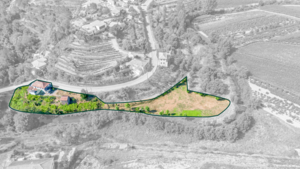 Moradia T3 - Vila Garcia, Amarante, Porto - Miniatura: 7/50