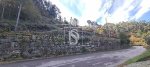 Terreno R�stico - Candemil, Amarante, Porto - Miniatura: 1/17