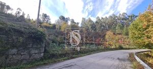 Terreno R�stico - Candemil, Amarante, Porto - Miniatura: 3/17