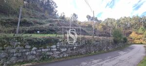 Terreno R�stico - Candemil, Amarante, Porto - Miniatura: 4/17