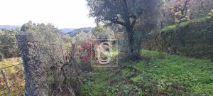Terreno R�stico - Candemil, Amarante, Porto - Miniatura: 5/17