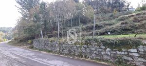 Terreno R�stico - Candemil, Amarante, Porto - Miniatura: 6/17