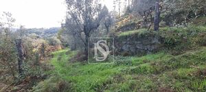 Terreno R�stico - Candemil, Amarante, Porto - Miniatura: 13/17