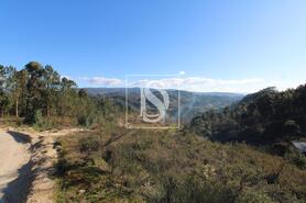 Terreno R�stico - Fregim, Amarante, Porto - Miniatura: 5/23