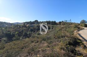 Terreno R�stico - Fregim, Amarante, Porto - Miniatura: 11/23