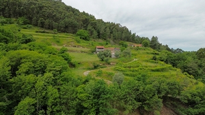 Moradia T2 - Bustelo, Amarante, Porto - Miniatura: 9/38