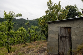 Moradia T2 - Bustelo, Amarante, Porto - Miniatura: 23/38