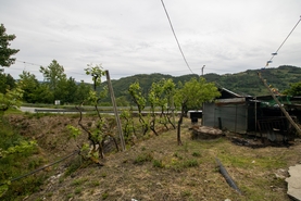 Moradia T2 - Bustelo, Amarante, Porto - Miniatura: 30/38