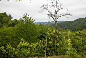 Moradia T2 - Bustelo, Amarante, Porto - Miniatura: 31/38