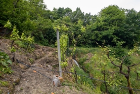 Moradia T2 - Bustelo, Amarante, Porto - Miniatura: 37/38