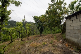 Moradia T2 - Bustelo, Amarante, Porto - Miniatura: 38/38