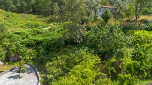 Terreno R�stico - JAZENTE, Amarante, Porto - Miniatura: 17/21