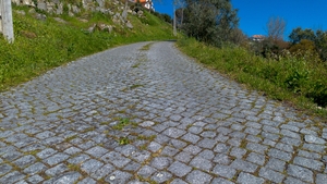 Terreno R�stico - Ancede, Bai�o, Porto - Miniatura: 9/25