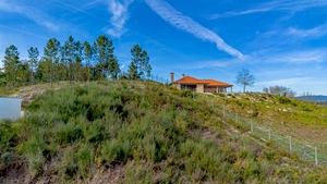 Terreno R�stico - Fregim, Amarante, Porto - Miniatura: 3/14