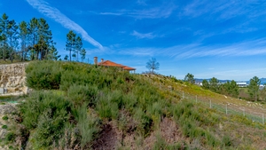 Terreno R�stico - Fregim, Amarante, Porto - Miniatura: 5/14