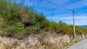 Terreno R�stico - Fregim, Amarante, Porto - Miniatura: 7/14