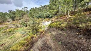 Terreno R�stico - Padronelo, Amarante, Porto - Miniatura: 1/14