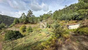 Terreno R�stico - Padronelo, Amarante, Porto - Miniatura: 2/14