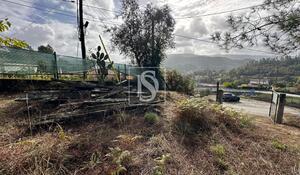 Terreno R�stico - Padronelo, Amarante, Porto - Miniatura: 3/14