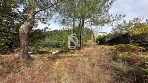 Terreno R�stico - Padronelo, Amarante, Porto - Miniatura: 12/14