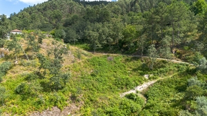 Terreno R�stico - JAZENTE, Amarante, Porto - Miniatura: 19/21