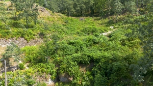 Terreno R�stico - JAZENTE, Amarante, Porto - Miniatura: 21/21