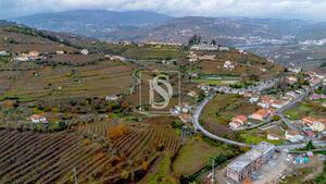 Terreno R�stico - Cambres, Lamego, Viseu - Miniatura: 2/14