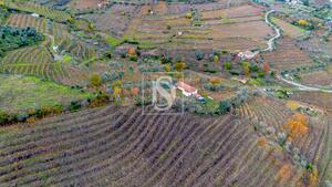 Terreno R�stico - Cambres, Lamego, Viseu - Miniatura: 4/14