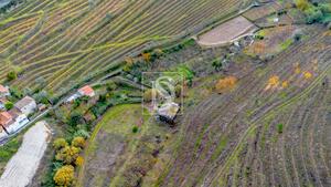 Terreno R�stico - Cambres, Lamego, Viseu - Miniatura: 6/14