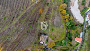 Terreno R�stico - Cambres, Lamego, Viseu - Miniatura: 9/14