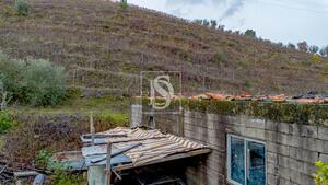 Terreno R�stico - Cambres, Lamego, Viseu - Miniatura: 10/14