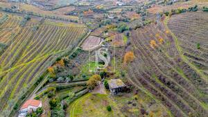 Terreno R�stico - Cambres, Lamego, Viseu - Miniatura: 12/14