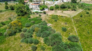 Terreno R�stico - Soalh�es, Marco de Canaveses, Porto - Miniatura: 7/10