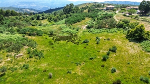 Terreno R�stico - Soalh�es, Marco de Canaveses, Porto - Miniatura: 8/10