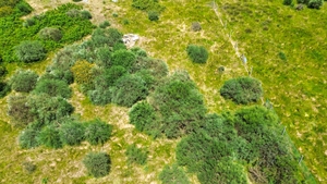 Terreno R�stico - Soalh�es, Marco de Canaveses, Porto - Miniatura: 9/10