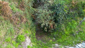 Terreno R�stico - Ansi�es, Amarante, Porto - Miniatura: 9/9