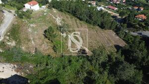 Terreno R�stico - Amarante, Amarante, Porto - Miniatura: 7/8