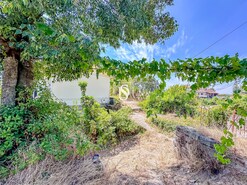 Quinta T3 - Vila Ca�z, Amarante, Porto - Miniatura: 11/26