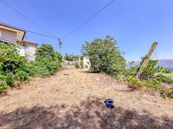 Quinta T3 - Vila Ca�z, Amarante, Porto - Miniatura: 26/26