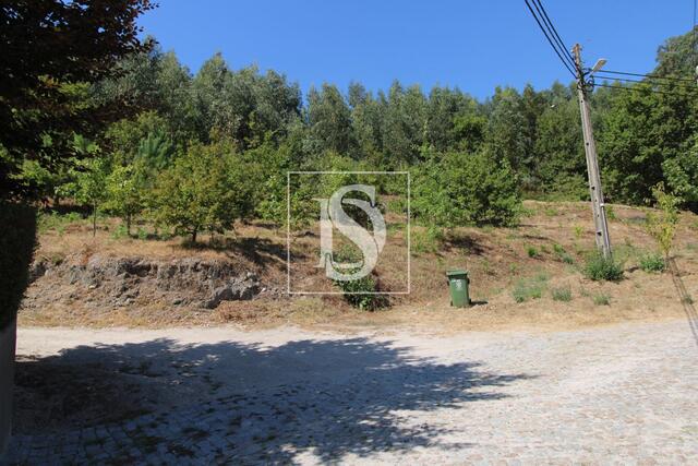 Terreno R�stico - Salvador do Monte, Amarante, Porto - Imagem grande
