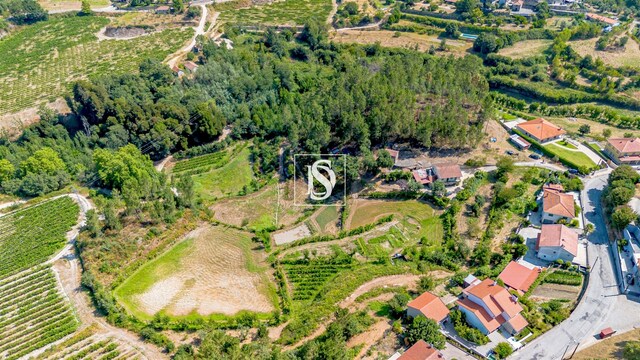 Quinta T4 - Gondar, Amarante, Porto - Imagem grande