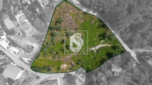 Terreno Urbano T0 - JAZENTE, Amarante, Porto