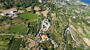 Quinta T4 - Anreade, Resende, Viseu - Miniatura: 25/54