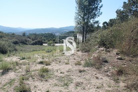 Terreno Rstico T0 - Vila Caz, Amarante, Porto - Miniatura: 5/8