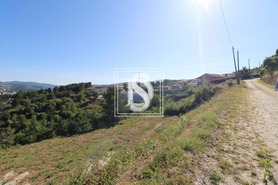 Terreno Rstico T0 - Amarante, Amarante, Porto - Miniatura: 7/8