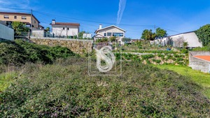 Terreno Rstico T0 - Campo, Santo Tirso, Porto - Miniatura: 9/31