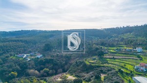 Terreno Rstico T0 - Campo, Santo Tirso, Porto - Miniatura: 31/31