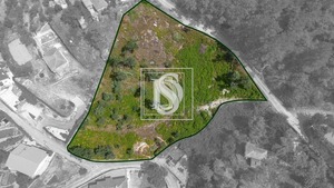 Terreno Urbano T0 - JAZENTE, Amarante, Porto - Miniatura: 21/21