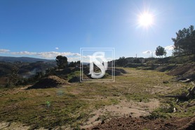 Terreno Rstico T0 - Fregim, Amarante, Porto - Miniatura: 3/23