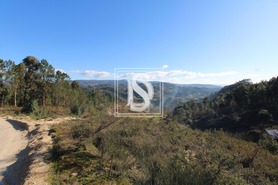 Terreno Rstico T0 - Fregim, Amarante, Porto - Miniatura: 4/23